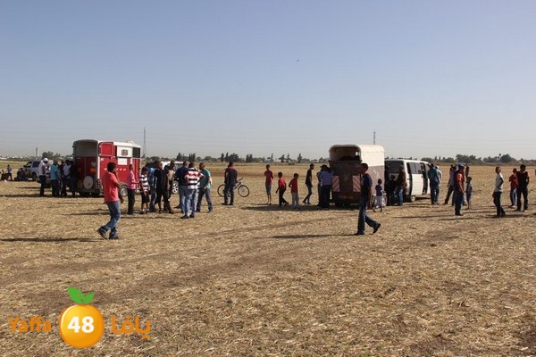 horse race 0602 (65).JPG